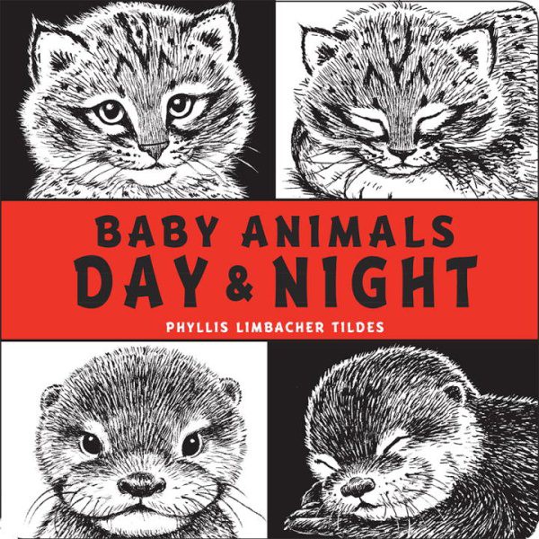 Good Night, Animals [Book]