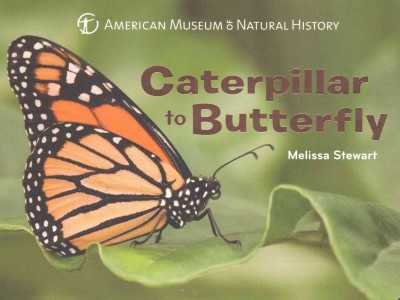 Caterpillar to Butterfly (BD) Caterpillar to Butterfly (BD)