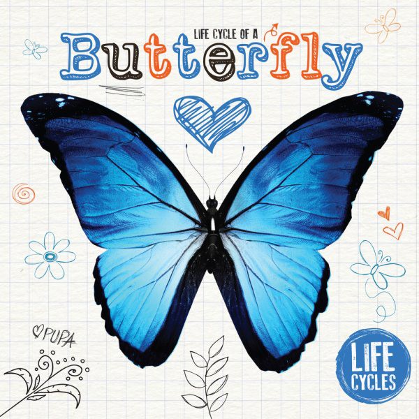 Lifecycle of a Butterfly (PB) Lifecycle of a Butterfly (PB)