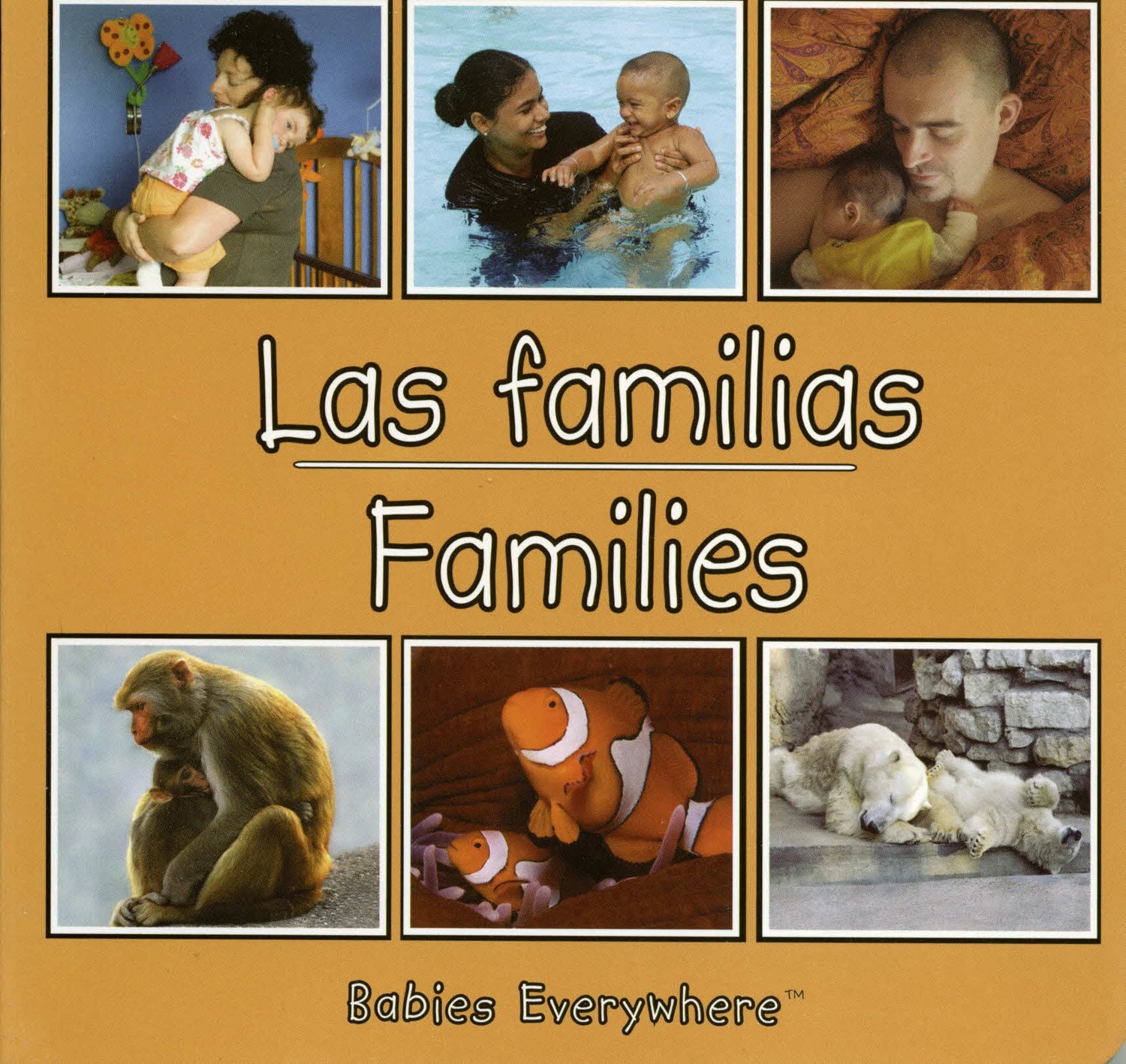 Las familias/ Families (BBD) Las familias/Families (BBD)