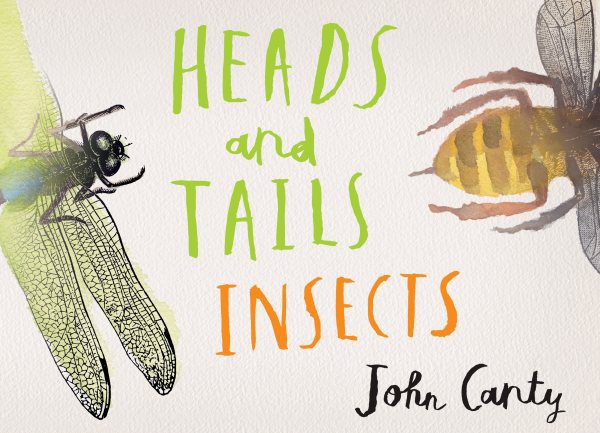 Heads and Tails: Insects (HC) headsandtailsinsectsHC