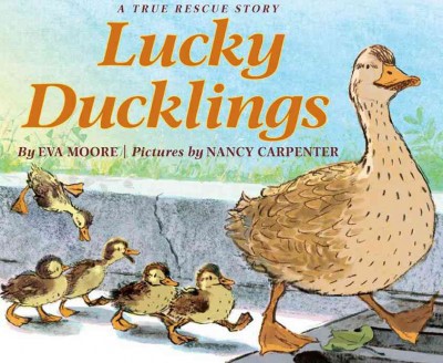 Lucky Ducklings: A True Rescue Story (HC) Lucky Ducklings (HC)