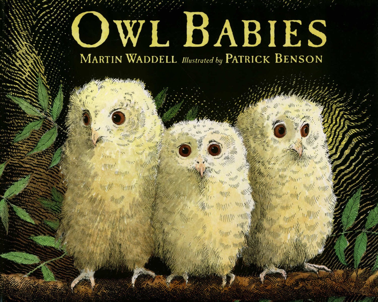 Owl Babies (HC) Owl Babies (HC-5194)