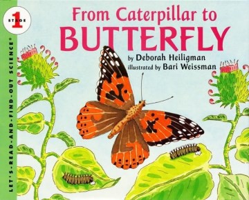 From Caterpillar to Butterfly (PB) From Caterpillar to Butterfly (PB)