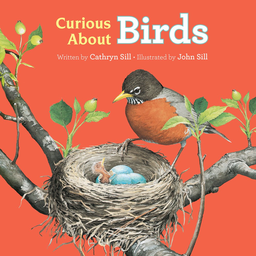 Curious About Birds (BD) Curious-About-Birds