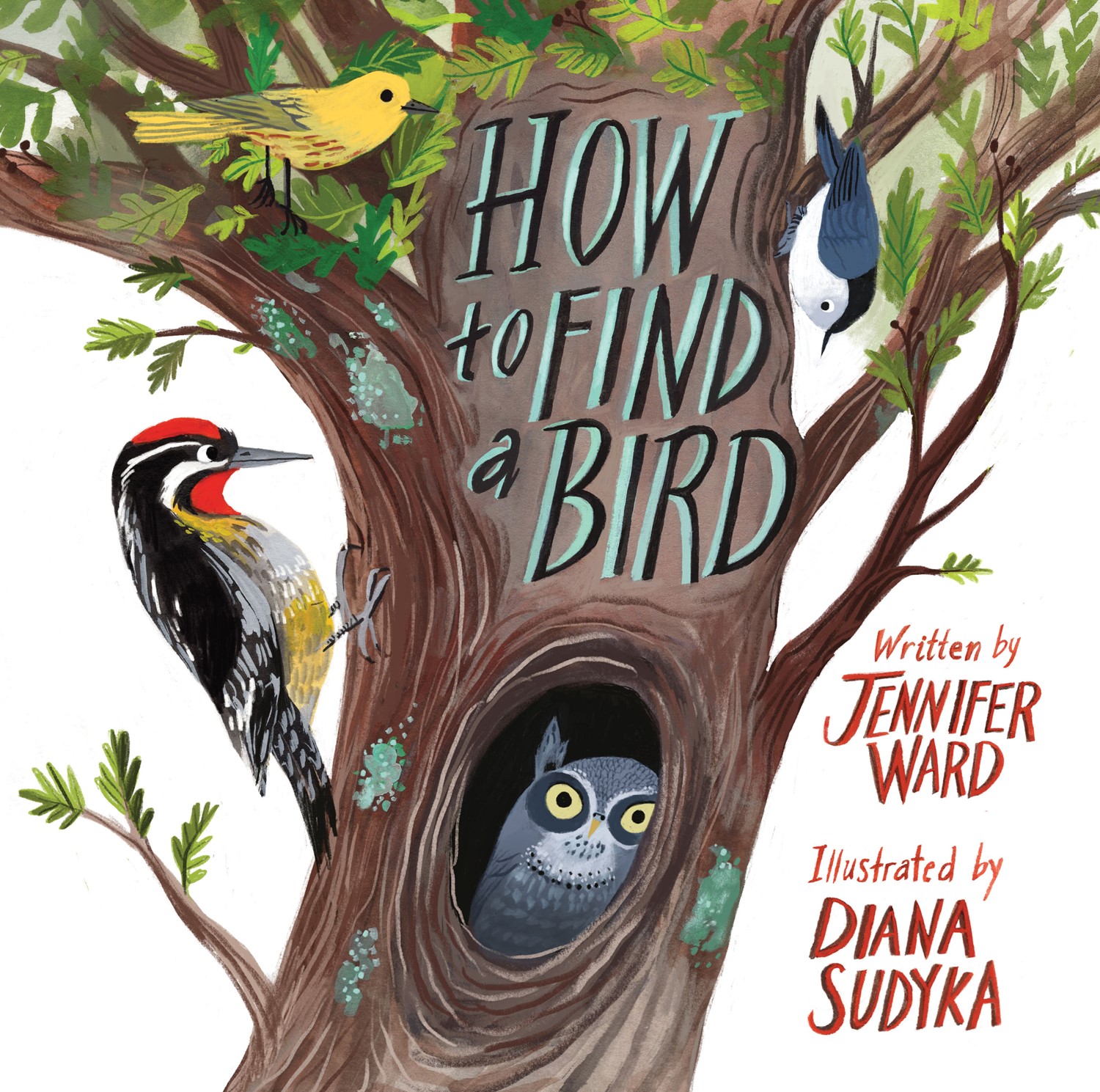 How to Find a Bird  (HC) How-to-Find-a-Bird