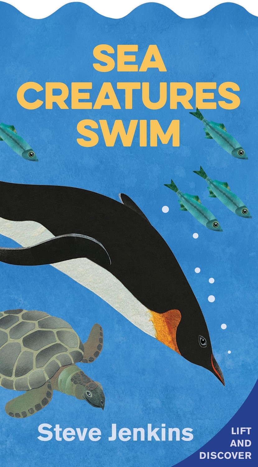 Sea Creatures Swim (BD) | The Book Vine