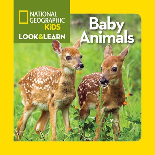 Look & Learn: Baby Animals (BD) lklrnbabyanimalsBD