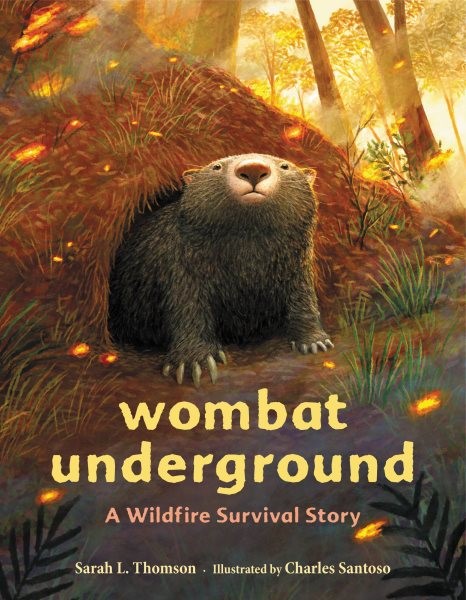 Wombat Underground (HC) Wombat Underground (HC) 