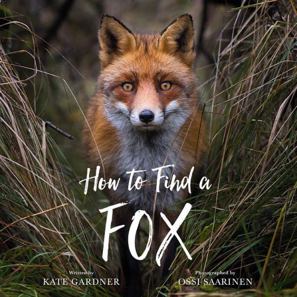 How to Find a Fox (HC) How to Find a Fox (HC) 