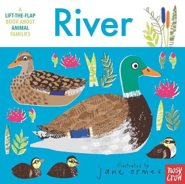 Animal Families: River (BD/LTF) animalfamiliesriverBDLTF