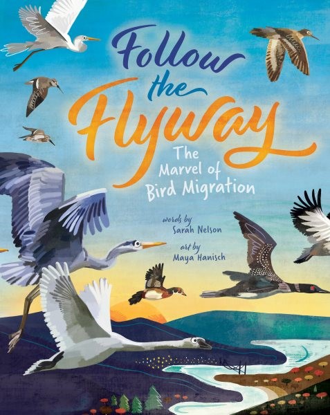 Follow the Flyway: The Marvel of Bird Migration (HC) followflywayHC