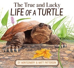 True and Lucky Life of a Turtle (HC) True and Lucky Life of a Turtle (HC)