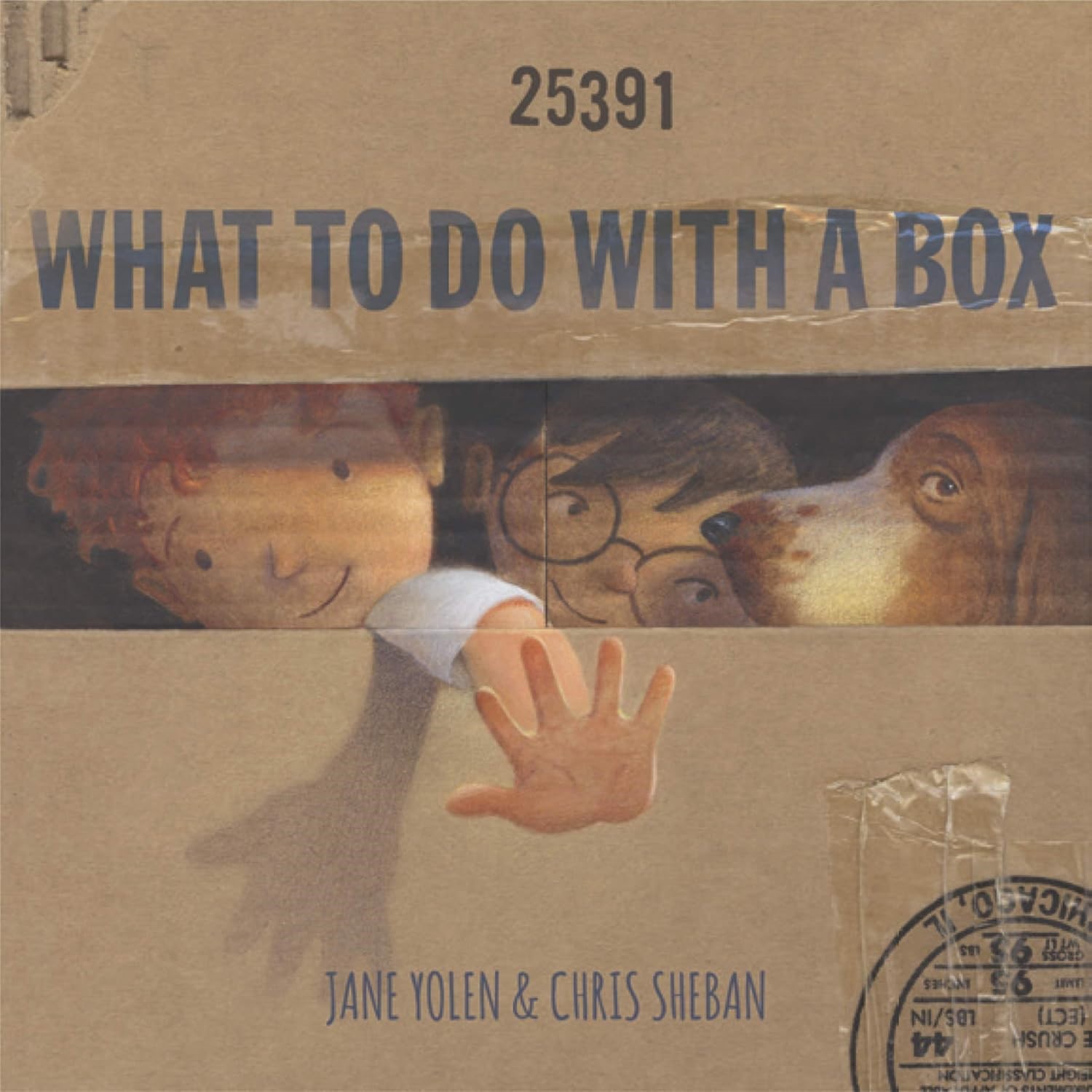 What to Do With a Box (BD-FOLDOUT) What to Do With a Box (BD-FOLDOUT)