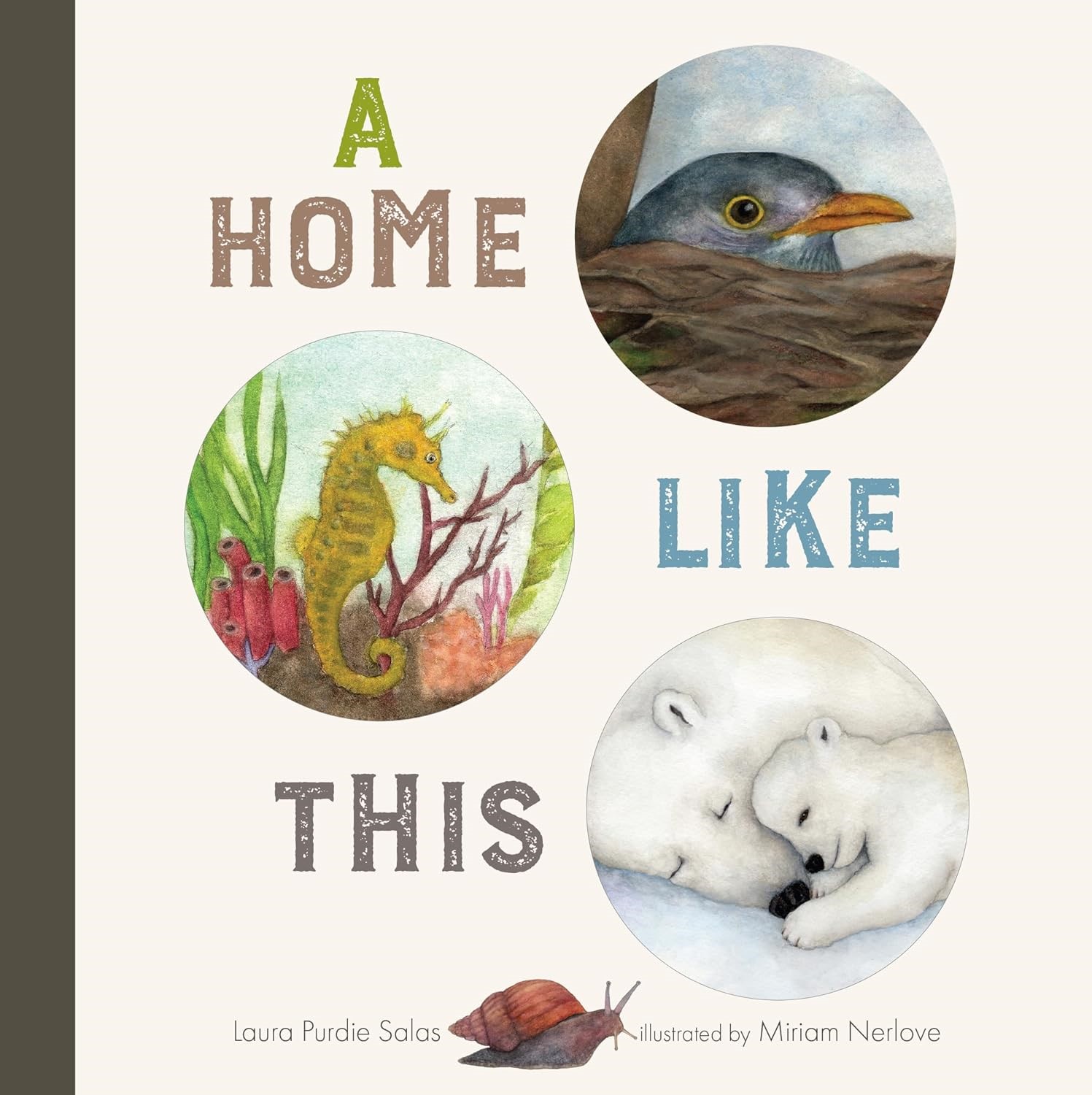 A Home Like This (BD) A Home Like This (BD)