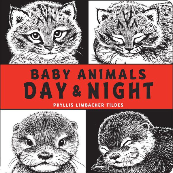Baby Animals Day & Night  (BD) Baby Animals Day & Night (BD)