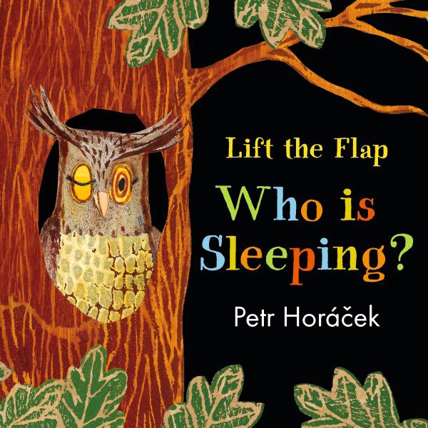 Who Is Sleeping? (BD/LTF) whosleepingBDLTF