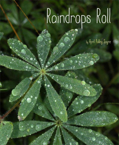 Raindrops Roll (HC) Raindrops Roll (HC)