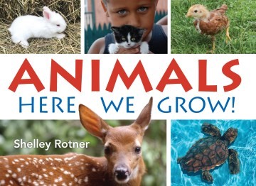 Animals: Here We Grow! (PB) animalsheregrowPB