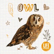 Owl (HC)