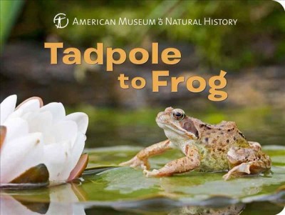 Tadpole to Frog (BD)
