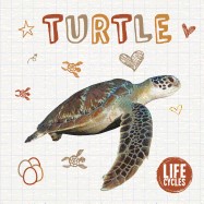 Turtle (HC)