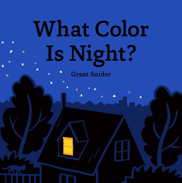 What Color Is Night? (HC)