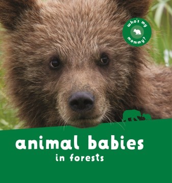 Animal Babies in Forests (BD)