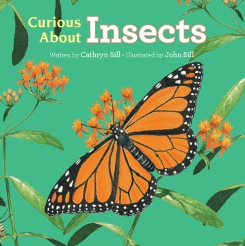Curious About Insects (BD)