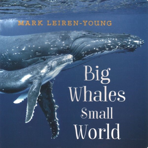 Big Whales Small World (BD)