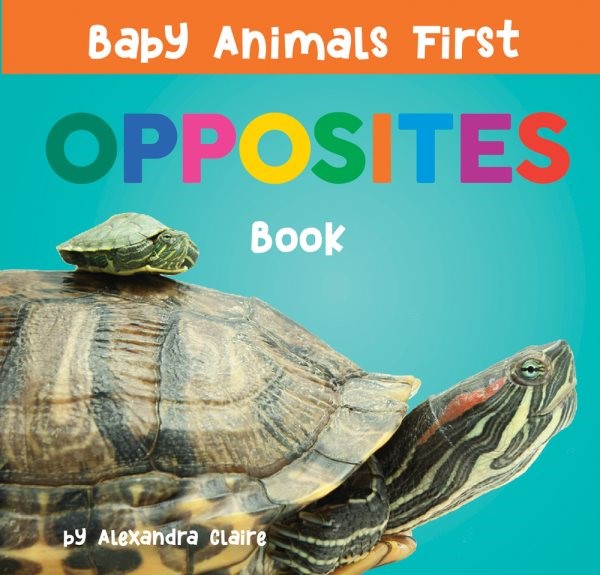 Baby Animals First Opposites Book (BD)